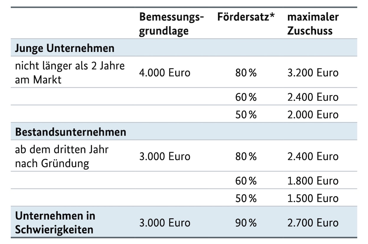 BAFA Foerderung